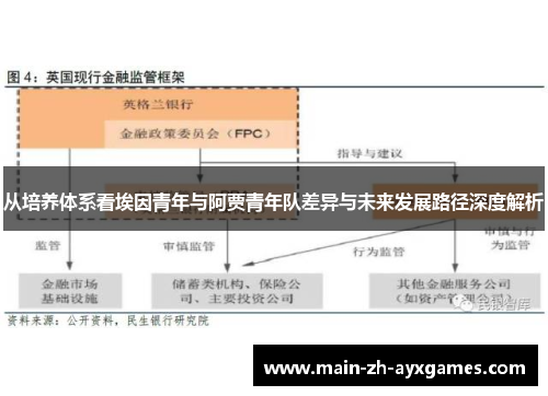 从培养体系看埃因青年与阿贾青年队差异与未来发展路径深度解析 从培养体系看埃因青年与阿贾青年队差异与未来发展路径深度解析