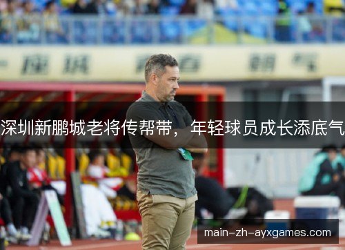 深圳新鹏城老将传帮带,年轻球员成长添底气 深圳新鹏城老将传帮带,年轻球员成长添底气